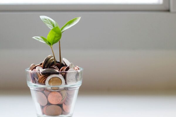 Investment word of the day: Passive funds — a low-risk option for investors; how do they work?