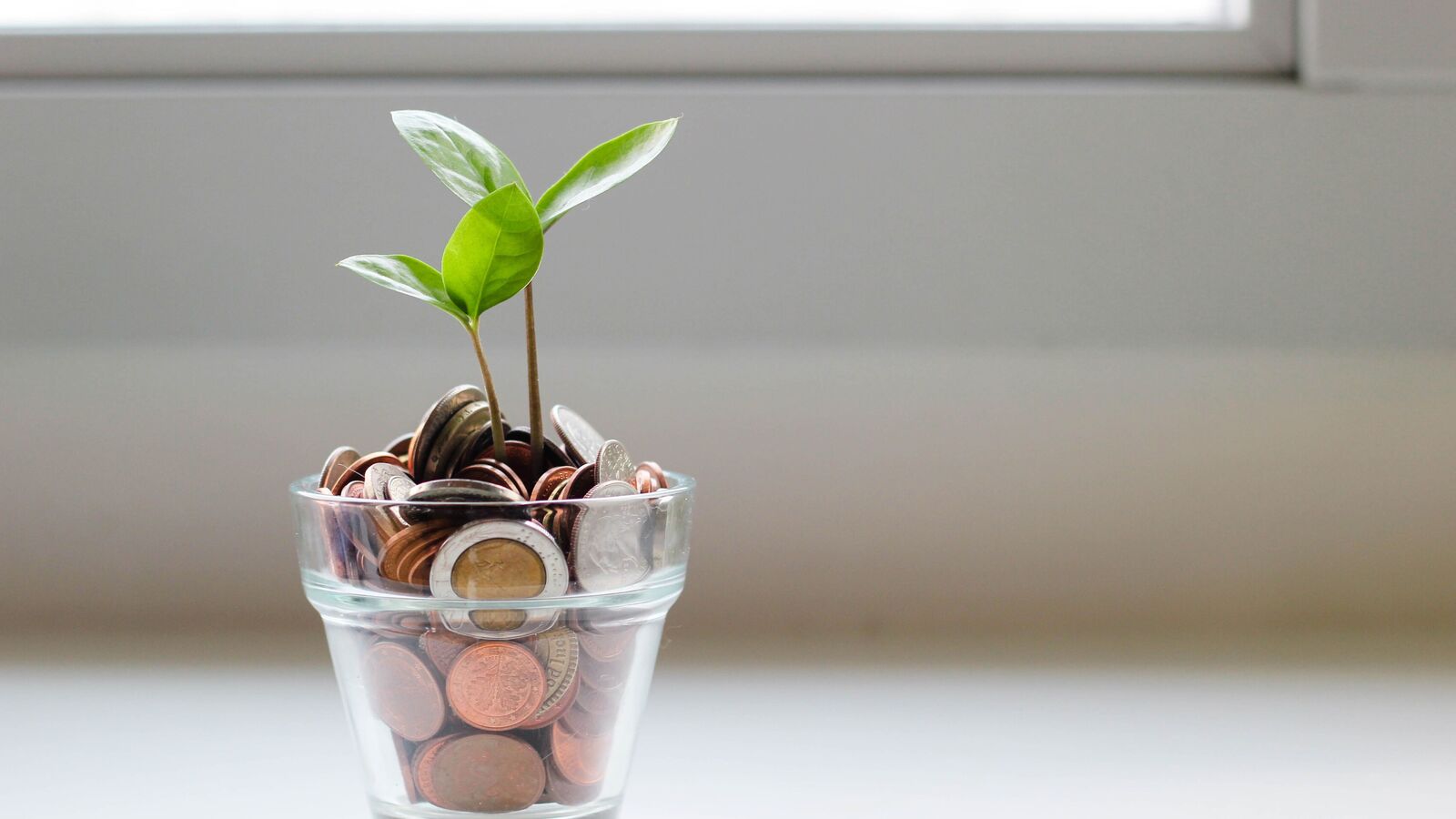 Investment word of the day: Passive funds — a low-risk option for investors; how do they work? Investment word of the day: Passive funds — a low-risk option for investors; how do they work?