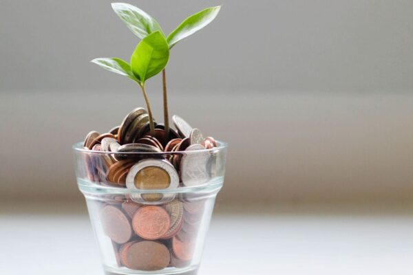 No credit, no problem: Explore THESE loan options without credit checks