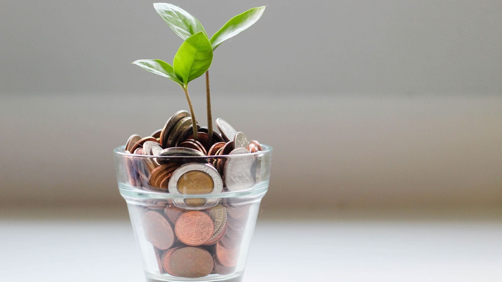 No credit, no problem: Explore THESE loan options without credit checks