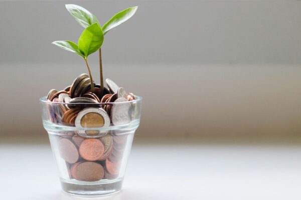 Personal loan application status: A complete guide to online and offline methods