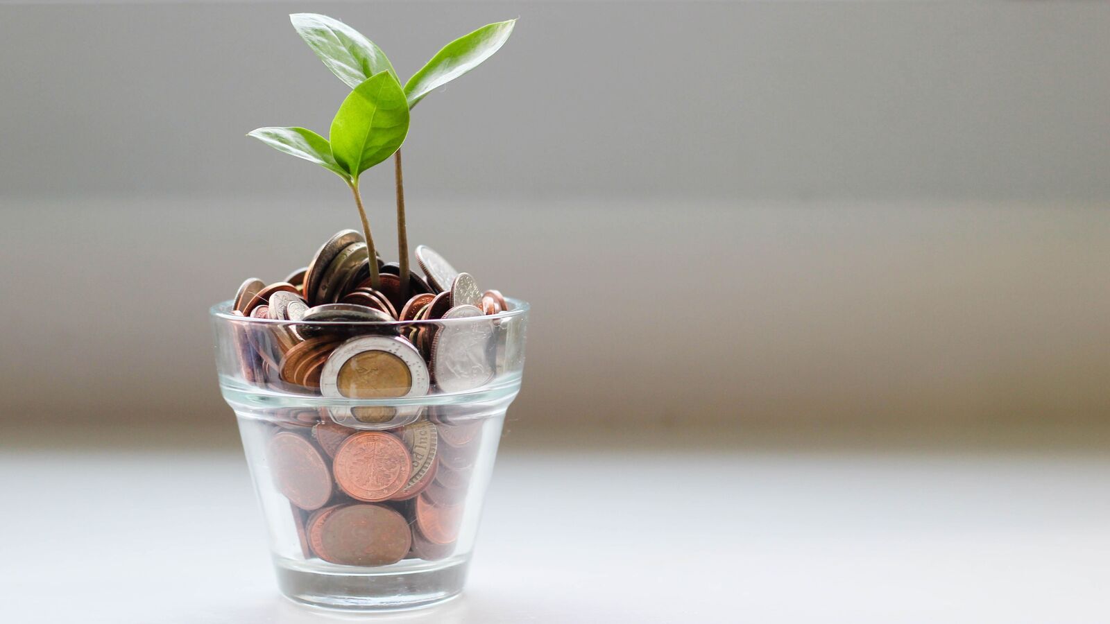 Personal loan application status: A complete guide to online and offline methods