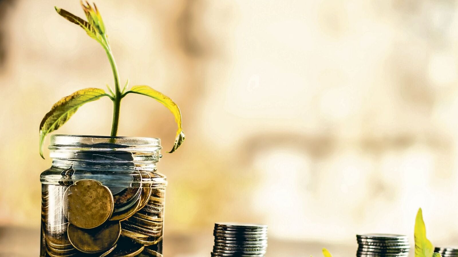 Worried about your financial health? 5 steps to build an emergency fund in 12 months
