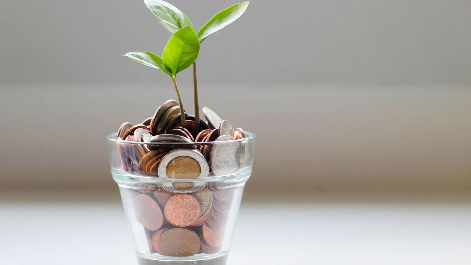 SBI personal loan interest rates 2025—Check the latest rates here