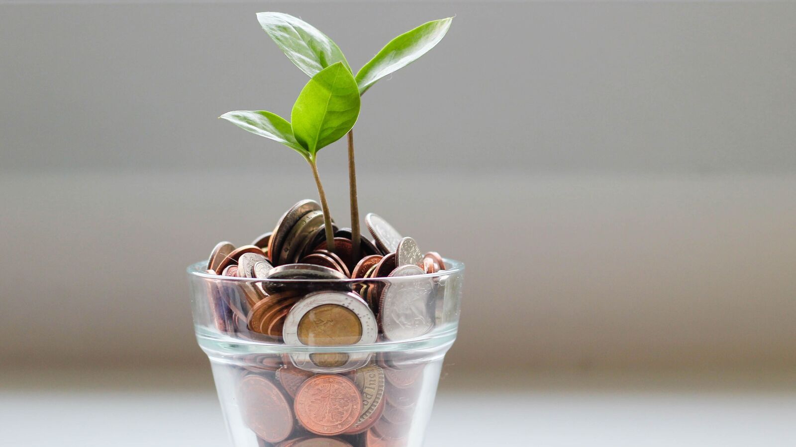 How to calculate the interest rate on a personal loan? A simple guide