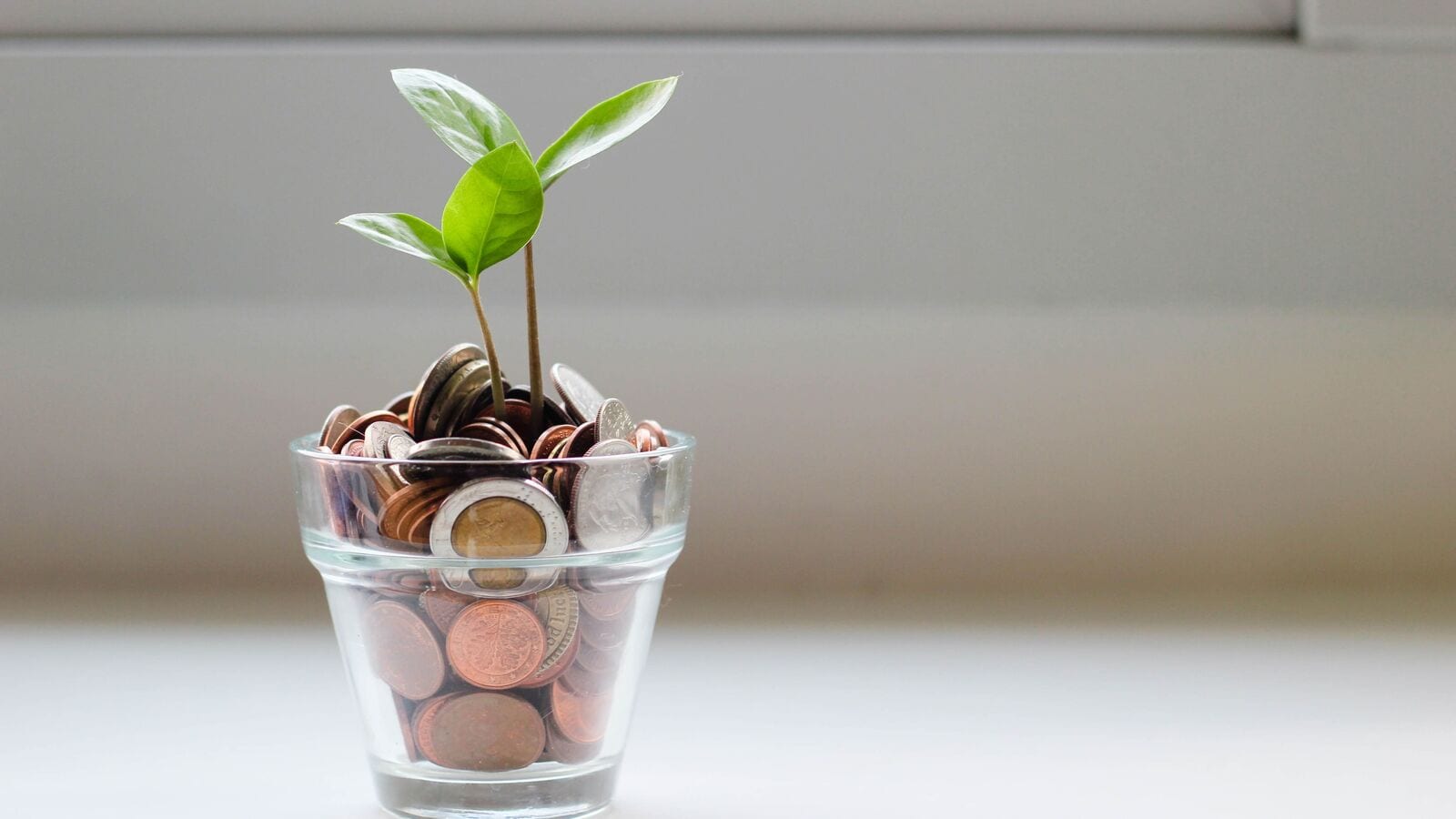 How to avoid the pitfalls of easy personal loans? 5 key points to note How to avoid the pitfalls of easy personal loans? 5 key points to note
