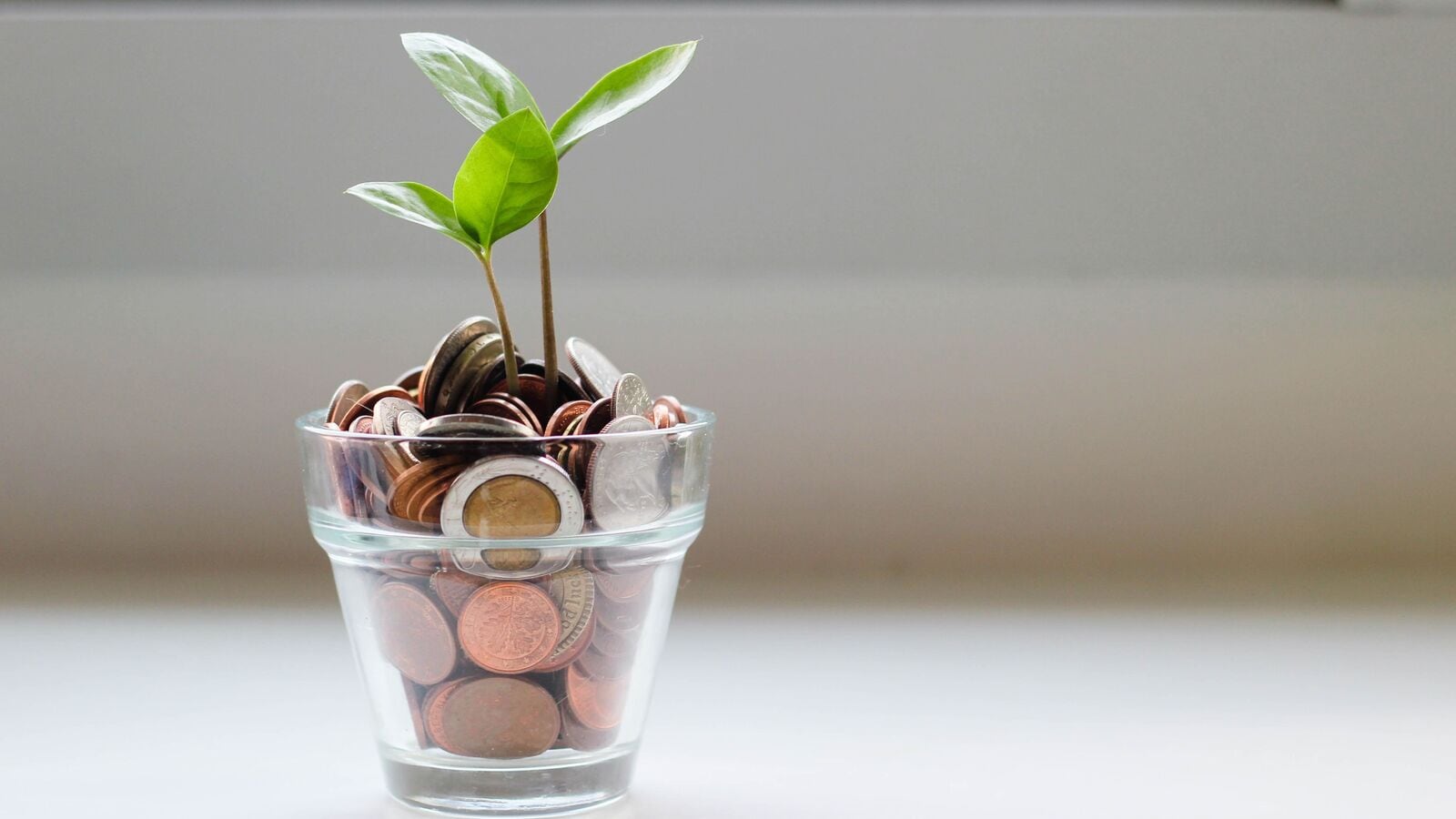 Your Questions Answered: How are multi-asset allocation funds different from equity funds?