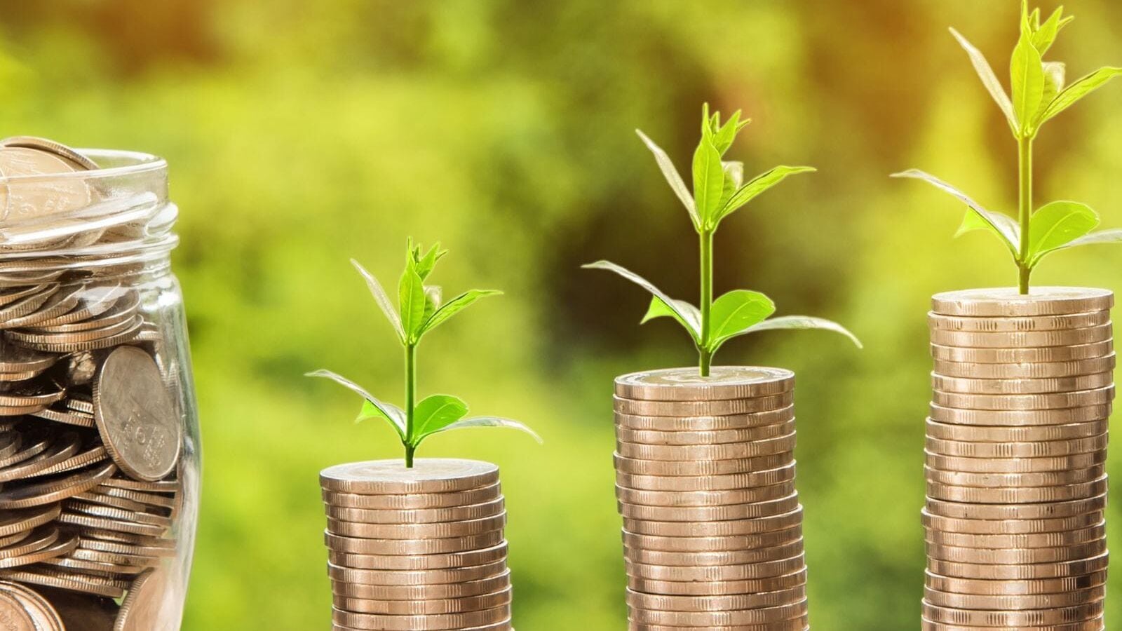 How many mutual funds should your portfolio really have? Find out How many mutual funds should your portfolio really have? Find out
