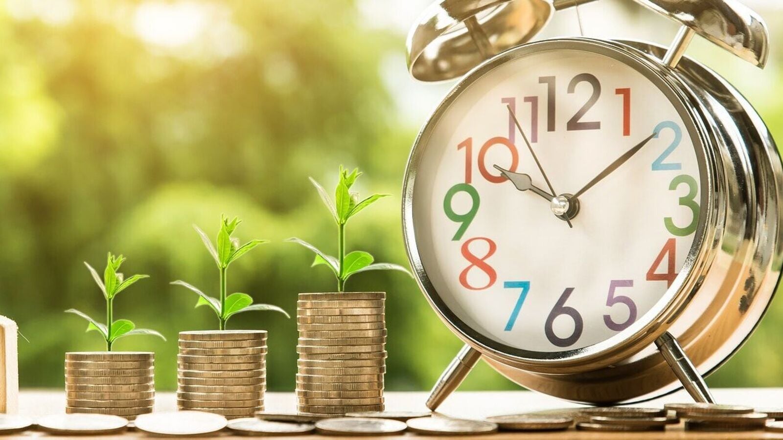 THESE 5 flexi cap mutual funds delivered over 25% annualised return in the past 5 years. Check list