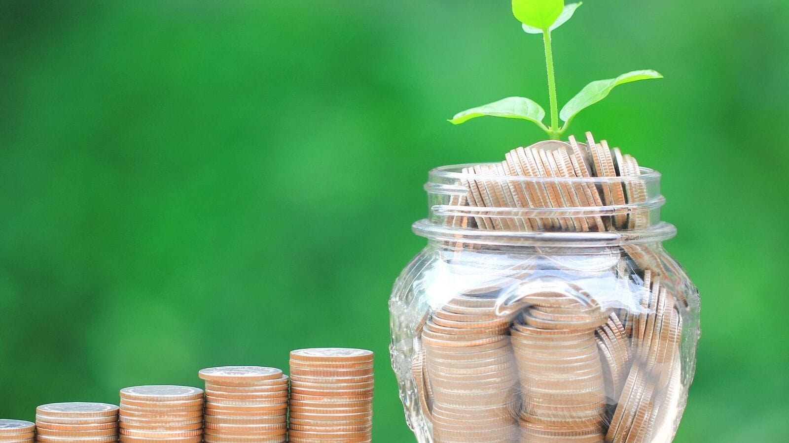 Personal loans: How much is too much to avoid a default? Personal loans: How much is too much to avoid a default?