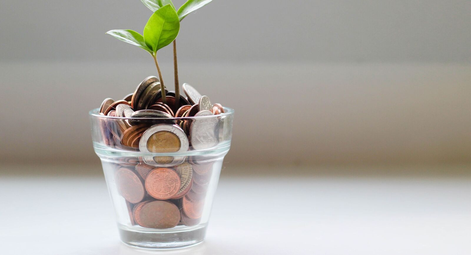 Small Savings Schemes Vs Bank FDs: These investments help investors earn upto 8.1% a year with tax benefits