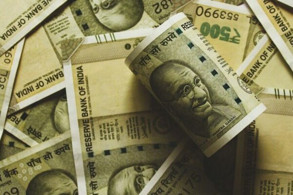 Who is an education loan guarantor? Meaning, role, and responsibilities explained