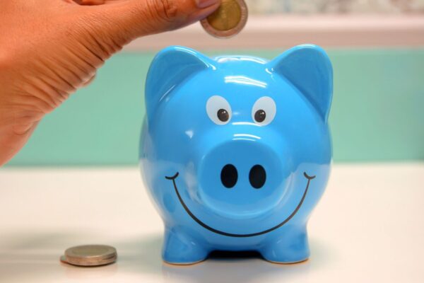 Small savings schemes vs FDs: What should investors opt for? An explainer