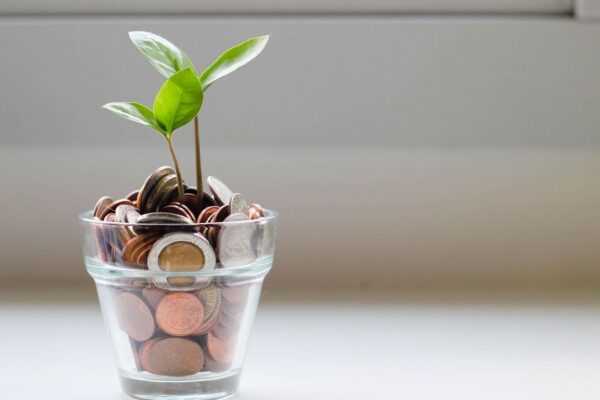 An SIP of 10K in this flexi cap mutual fund would have grown to ₹30 lakh in 10 years. Check how