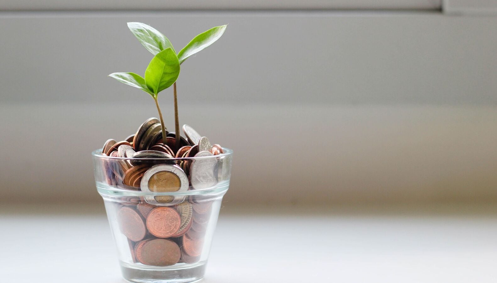 An SIP of 10K in this flexi cap mutual fund would have grown to ₹30 lakh in 10 years. Check how An SIP of 10K in this flexi cap mutual fund would have grown to ₹30 lakh in 10 years. Check how