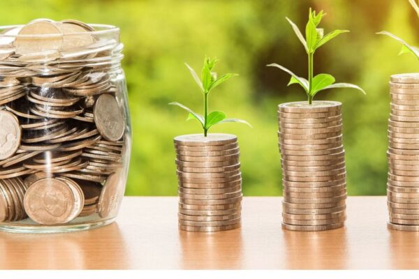 Should you invest in mutual funds to achieve financial independence? Experts speak