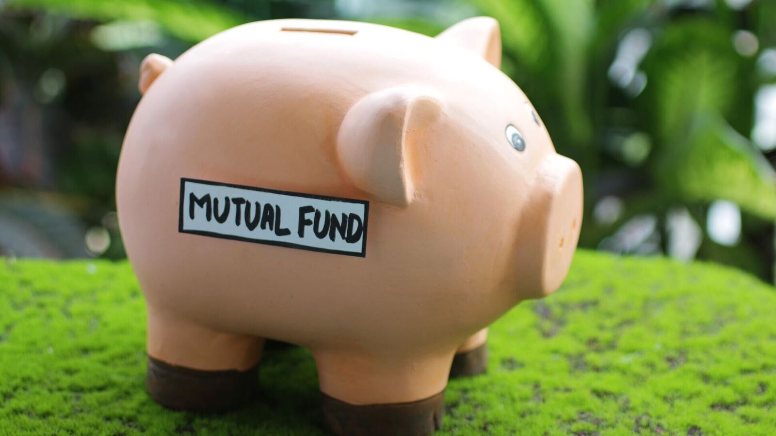 Mutual funds: These flexi caps gave more than 20 percent annualised return in past 5 years Mutual funds: These flexi caps gave more than 20 percent annualised return in past 5 years