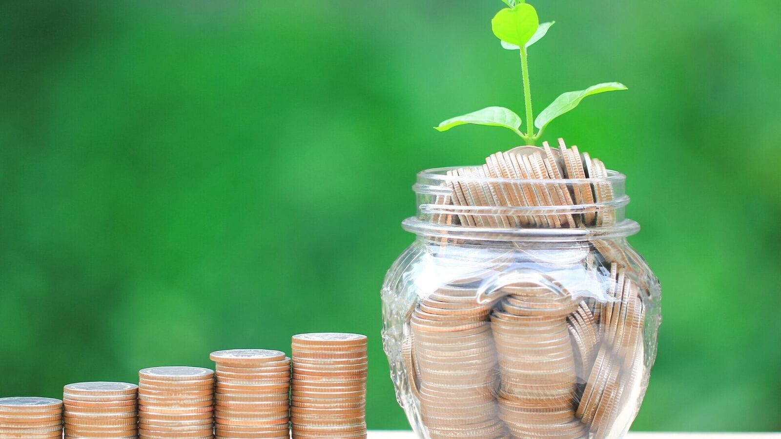 ₹1 lakh investment in this mutual fund at launch would have grown to ₹8 lakh in 16 years. Check how