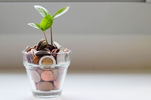 5 proven ways to improve your credit score before applying for a personal loan