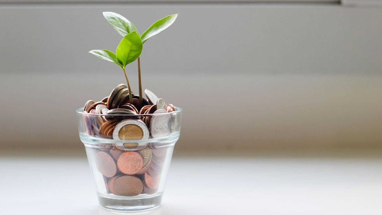 5 proven ways to improve your credit score before applying for a personal loan