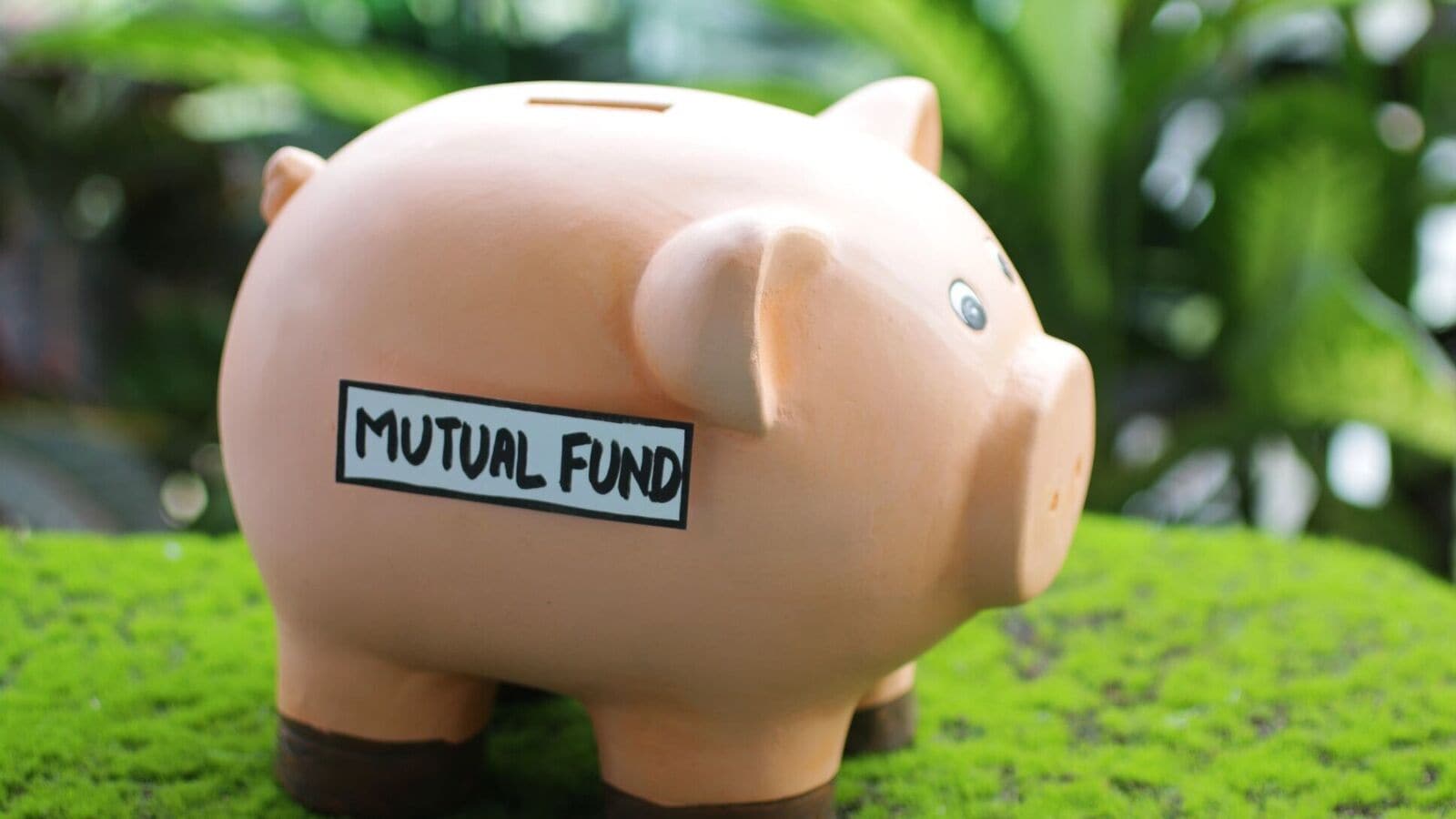 Mutual Funds: 10 new fund offers (NFOs) open for subscription in August—should you invest?
