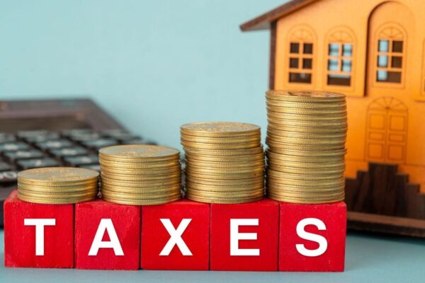 Income Tax: Know THESE 10 key terms before you file your return for FY 25